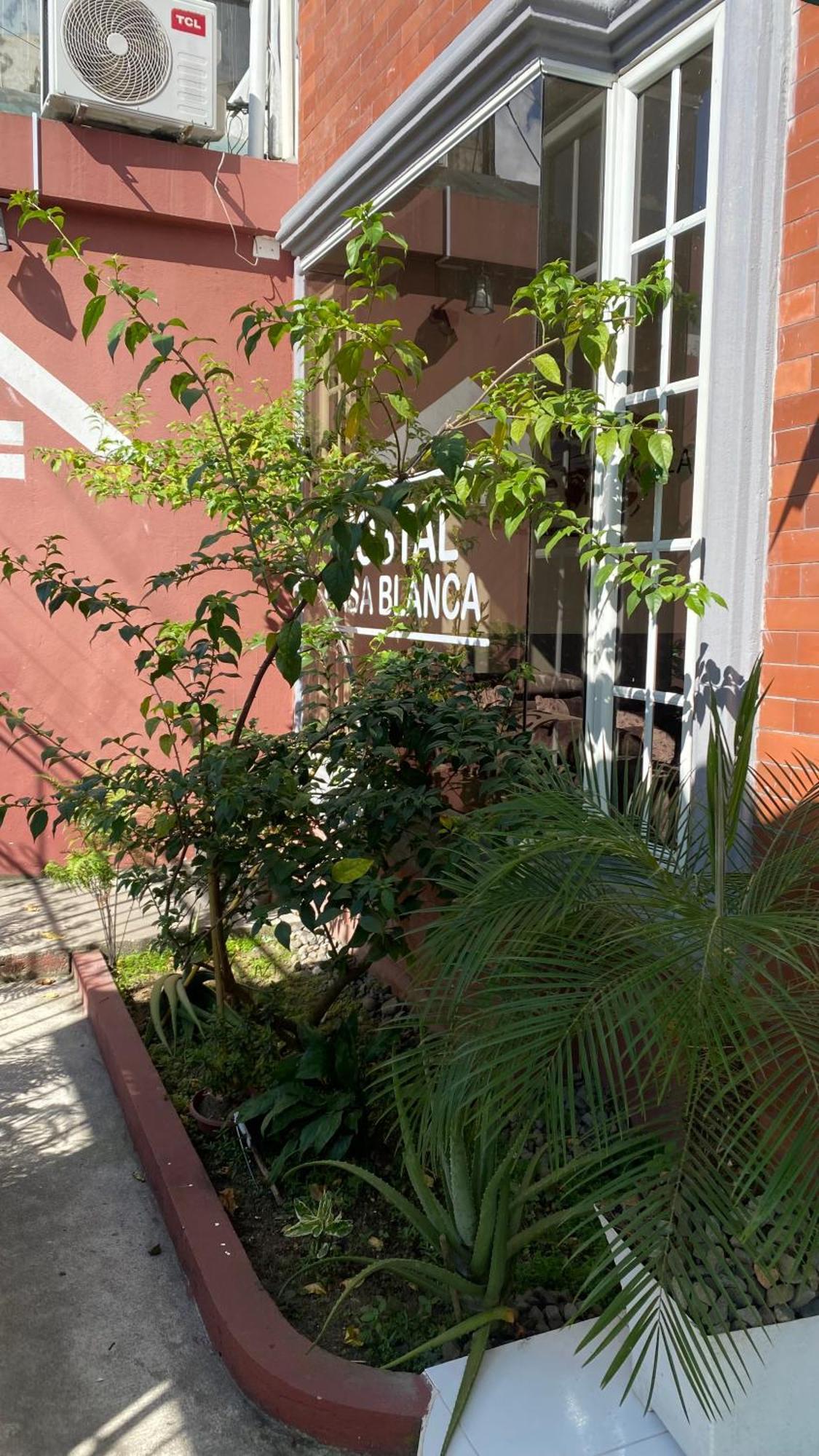 Hostal Casa Blanca Puerto Francisco de Orellana 外观 照片